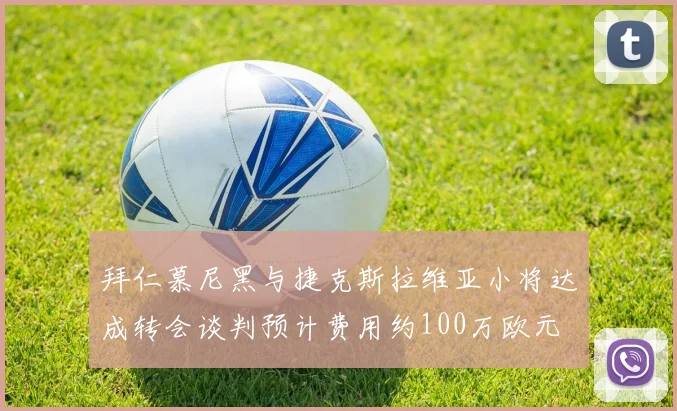 拜仁慕尼黑与捷克斯拉维亚小将达成转会谈判预计费用约100万欧元